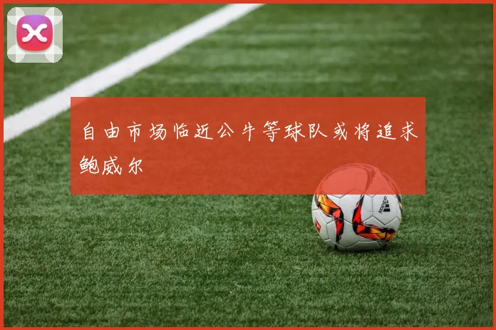 自由市场临近公牛等球队或将追求鲍威尔