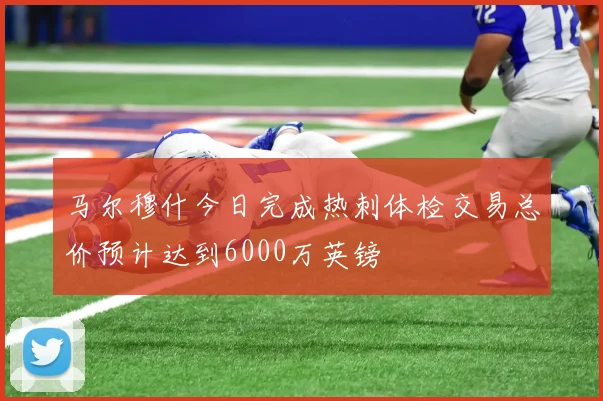 马尔穆什今日完成热刺体检交易总价预计达到6000万英镑
