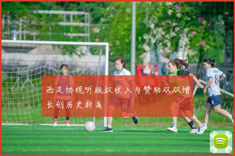 西足协视听版权收入与赞助双双增长创历史新高