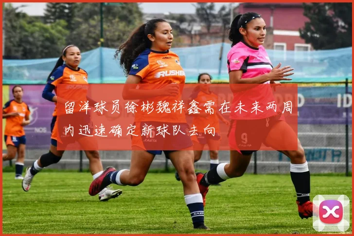 留洋球员徐彬魏祥鑫需在未来两周内迅速确定新球队去向